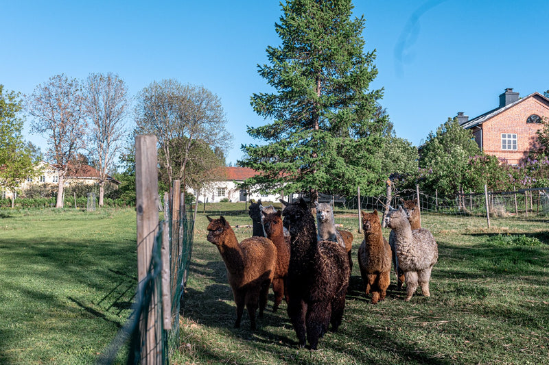 Mathildedal - viehättävä ruukkikylä Salossa