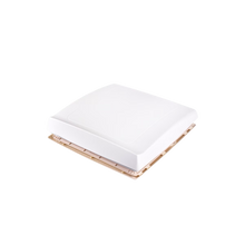 Lataa kuva Galleria-katseluun, Thule Kattoluukku 40 x 40 veivattava, valkoinen