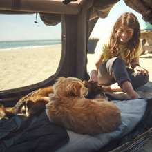 Lataa kuva Galleria-katseluun, Dometic koiran teltta K9 80 AIR