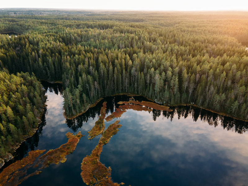 Retkelle luonnon helmaan - Nuuksion kansallispuisto