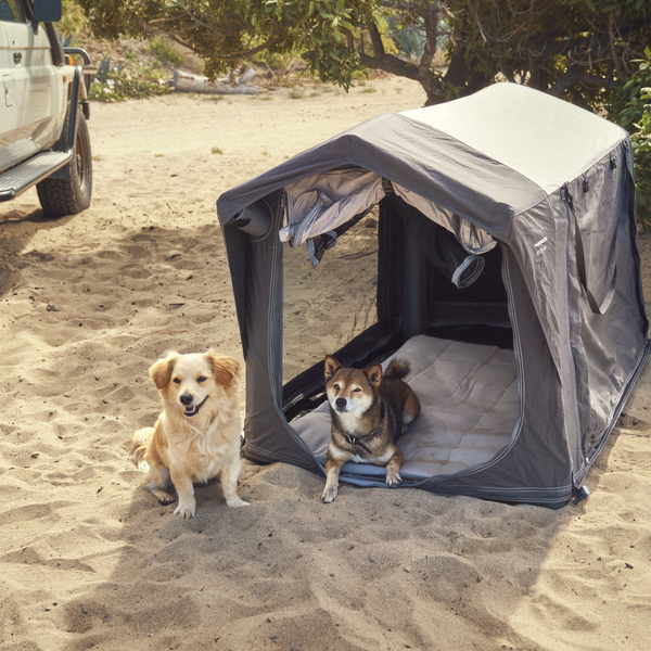 Dometic koiran teltta K9 80 AIR - ProCaravan